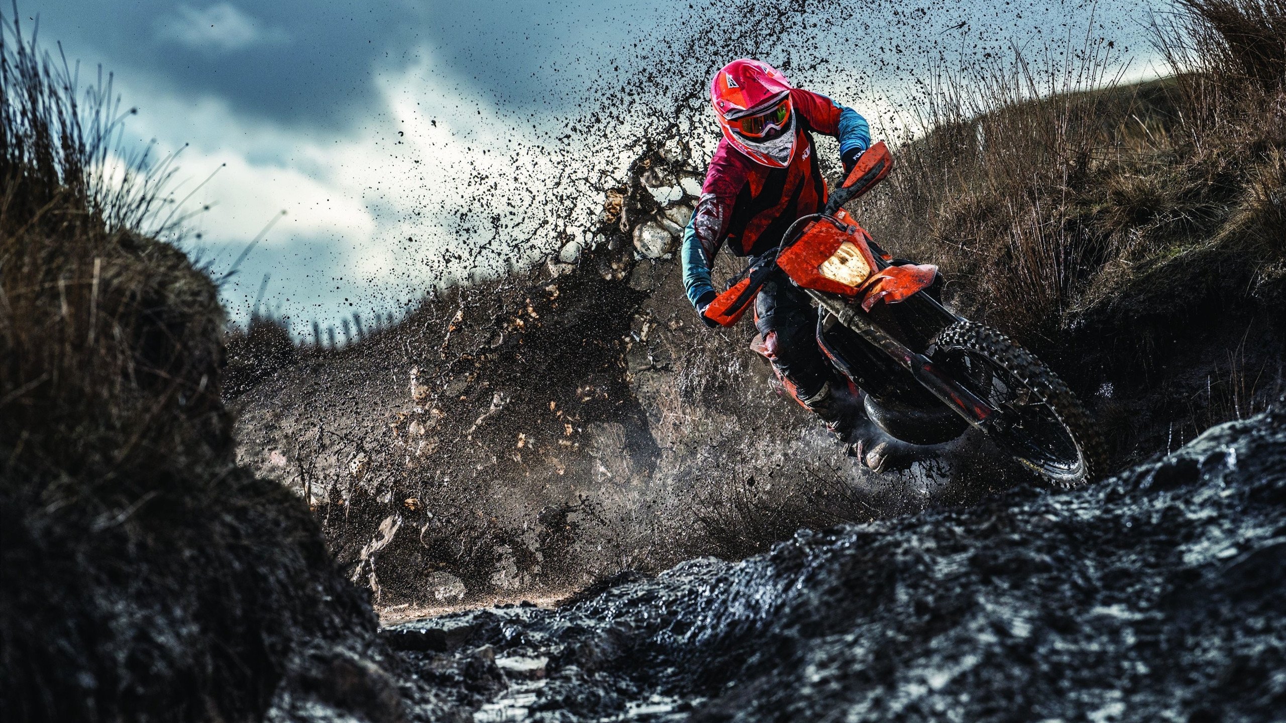 当青岛队横扫湖人成为现实，德罗赞状态火热背后的篮球新想象